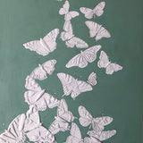 tonal butterflies