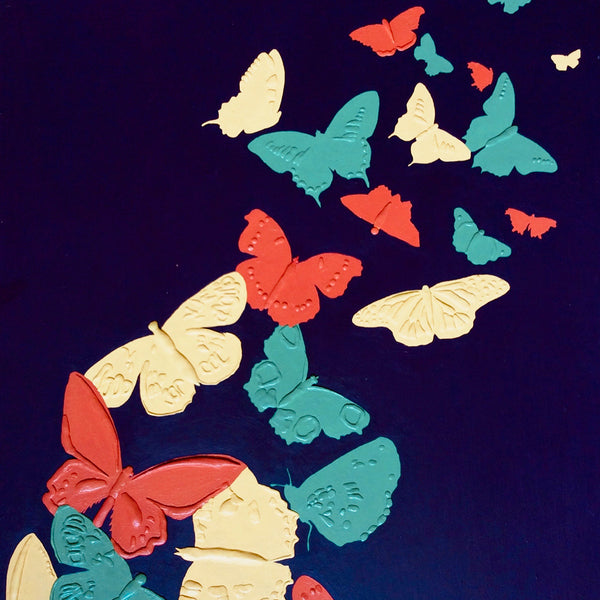 primary butterflies